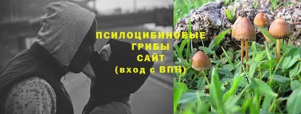 бутират Алексин